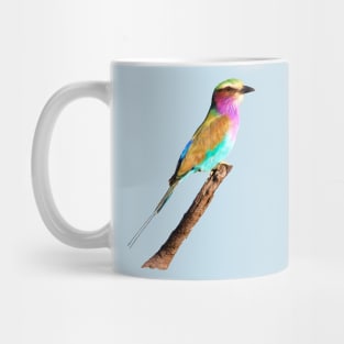 Colourful Lilac-breasted Roller Mug